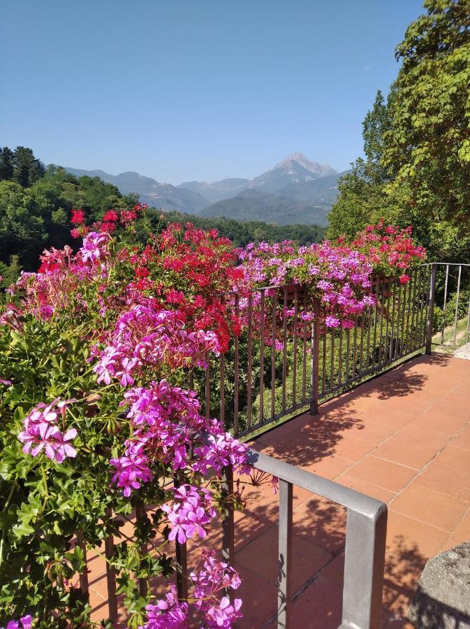La Vignola Villa Barga Exterior photo